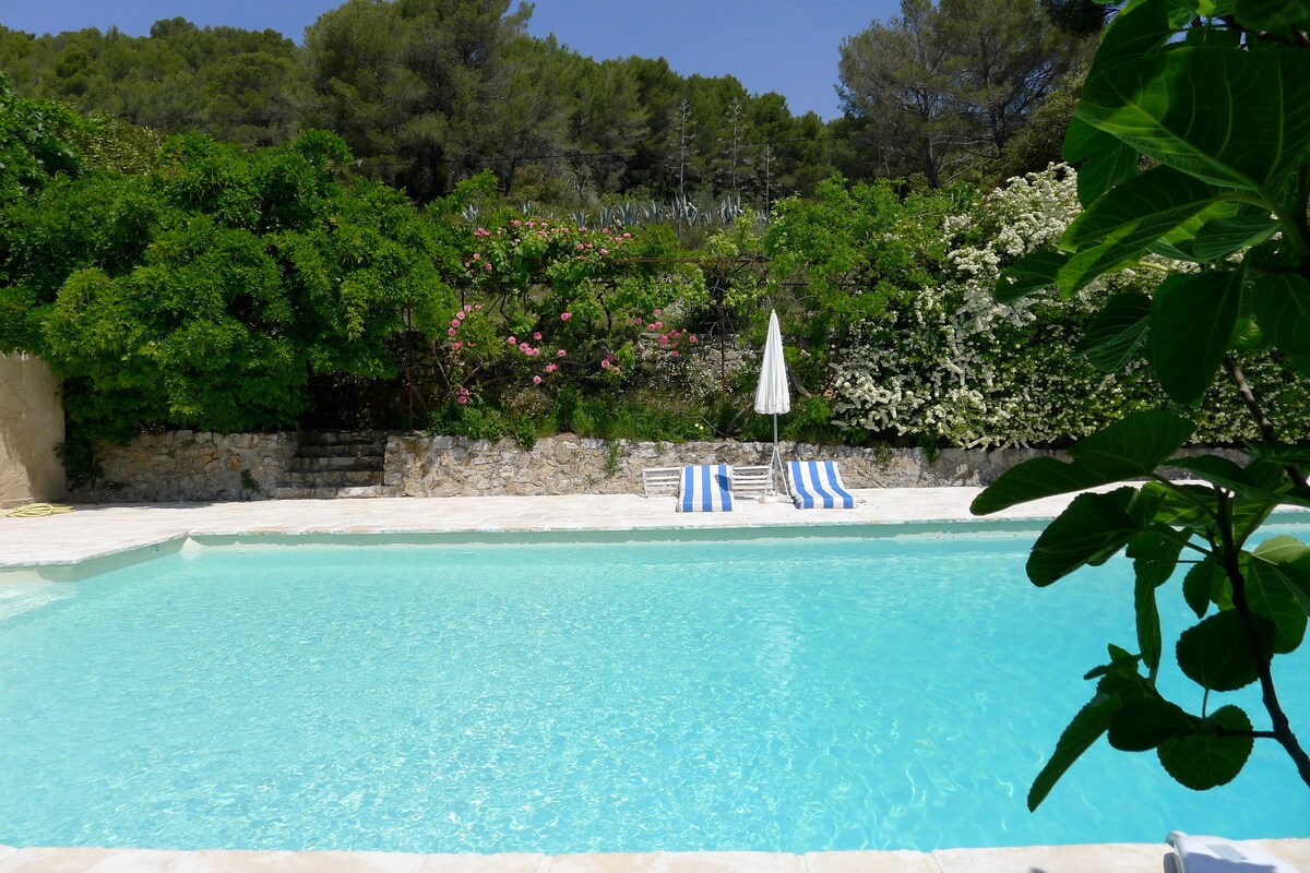 Farmhouse in Provence with big pool