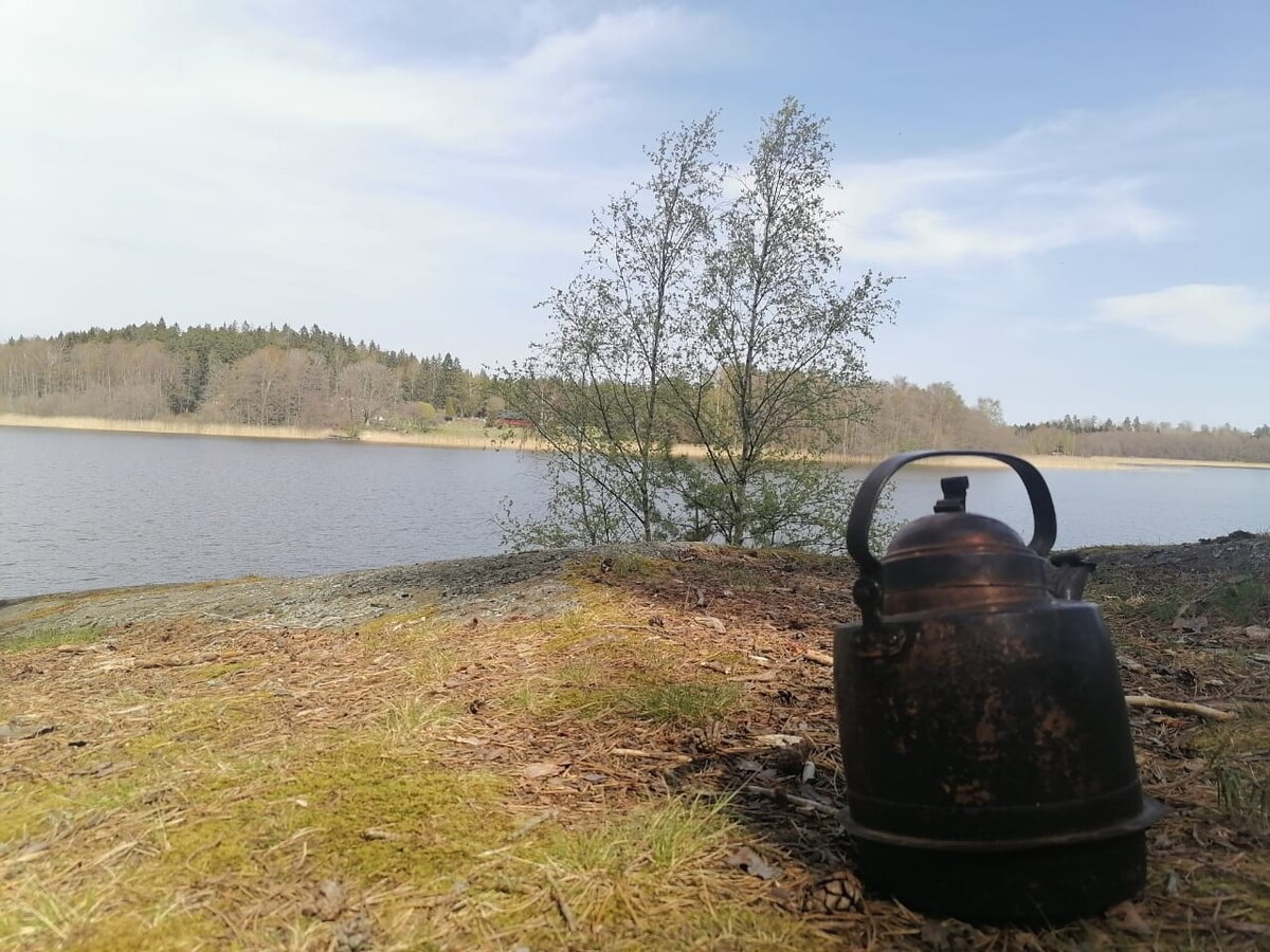 Lake Cabin