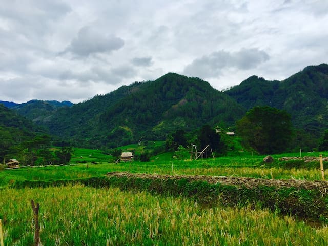 Makale Toraja的民宿