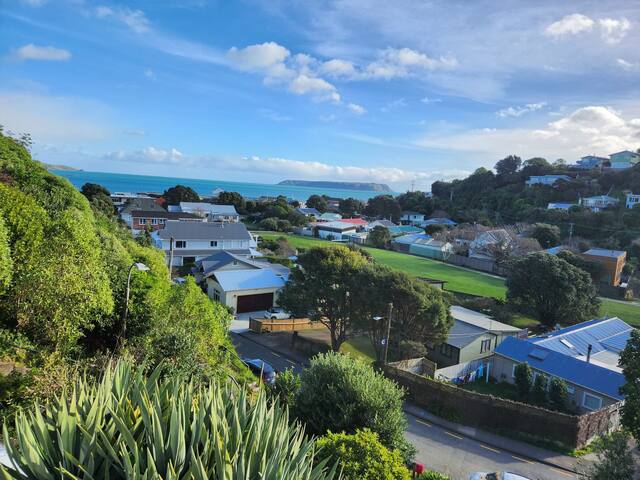 里鲁阿(Porirua)的民宿