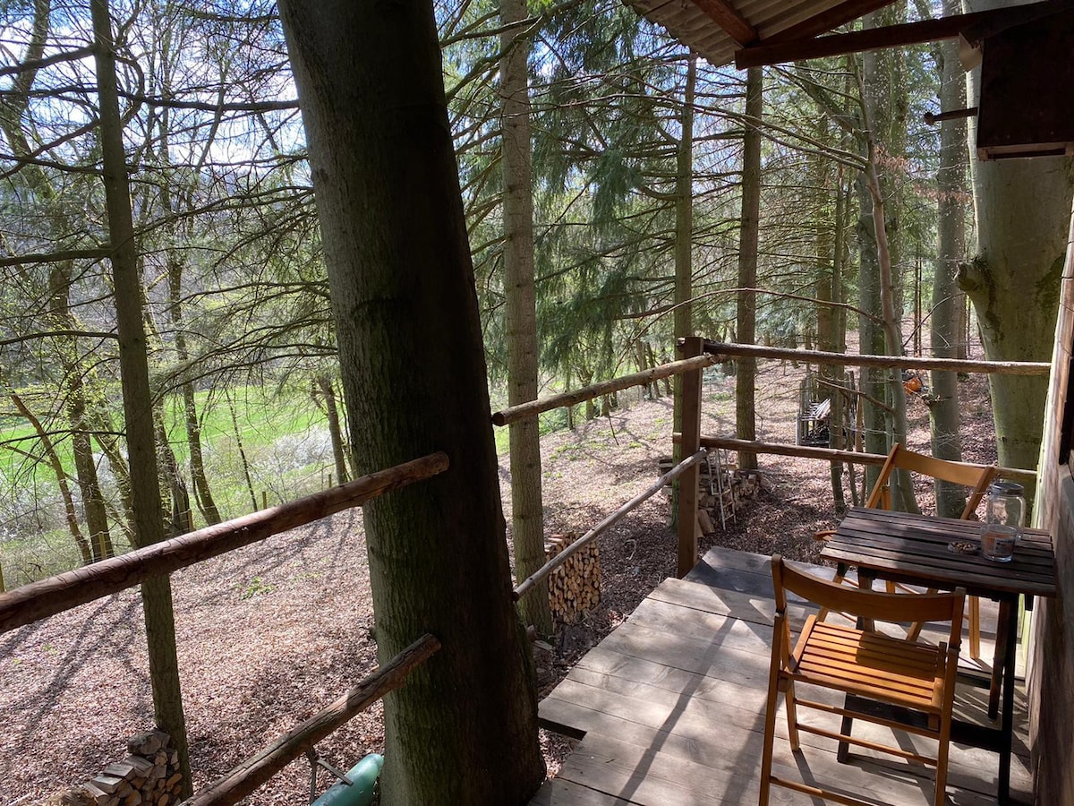 Waldhaus/Forest Hut in der Eifel