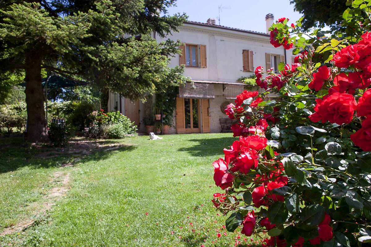 A casa da Marcella, Camera Rossa