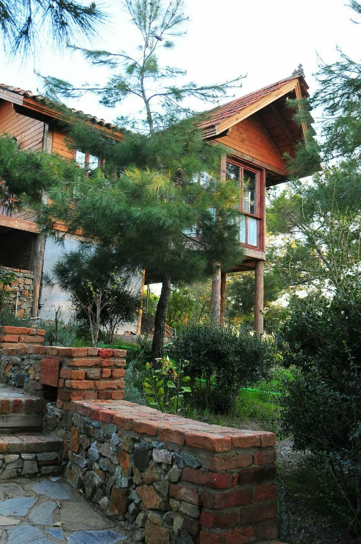 Kayserkaya Pine Cone House