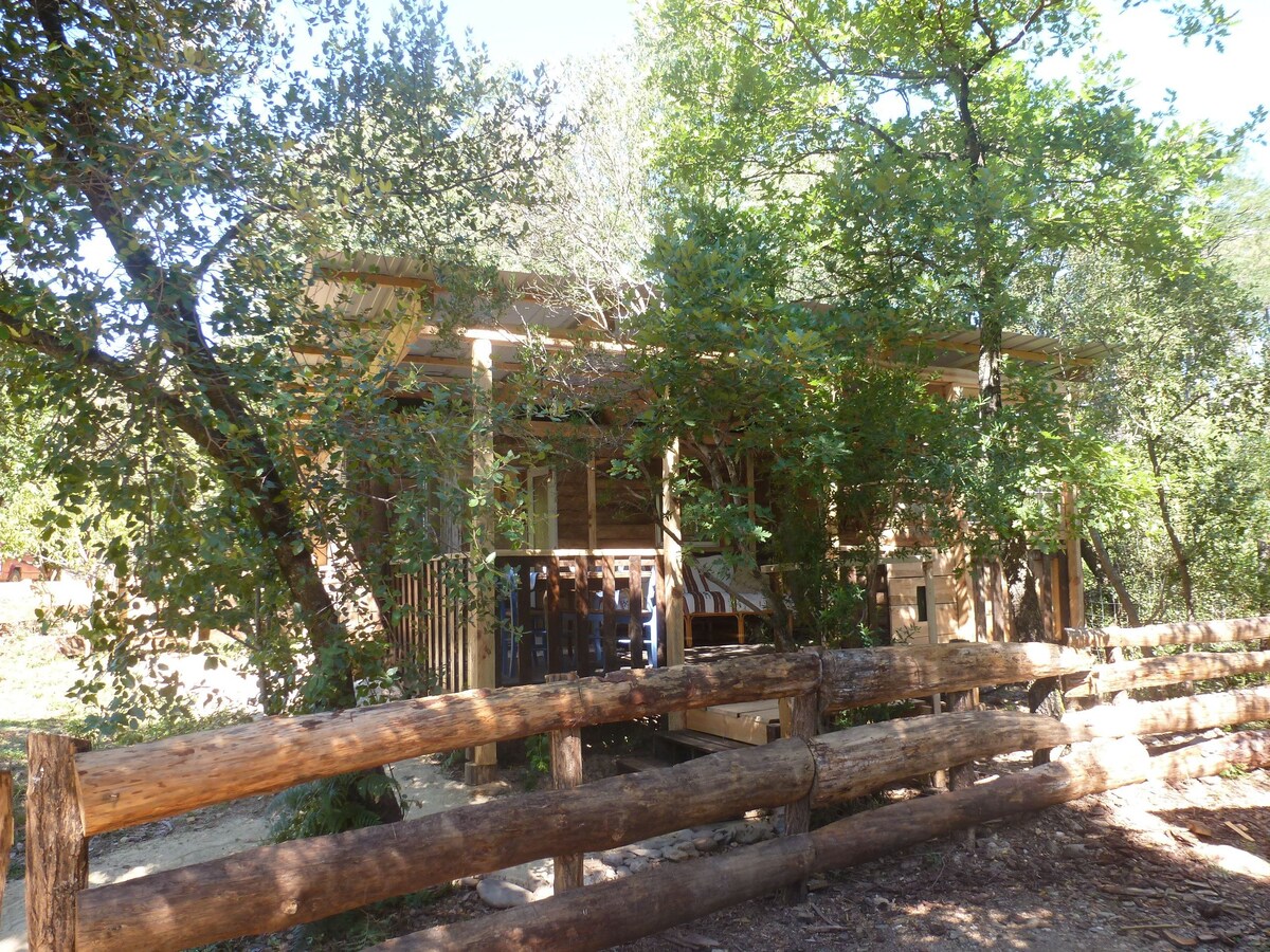 Gîte Cabane Saloon en Ardèche