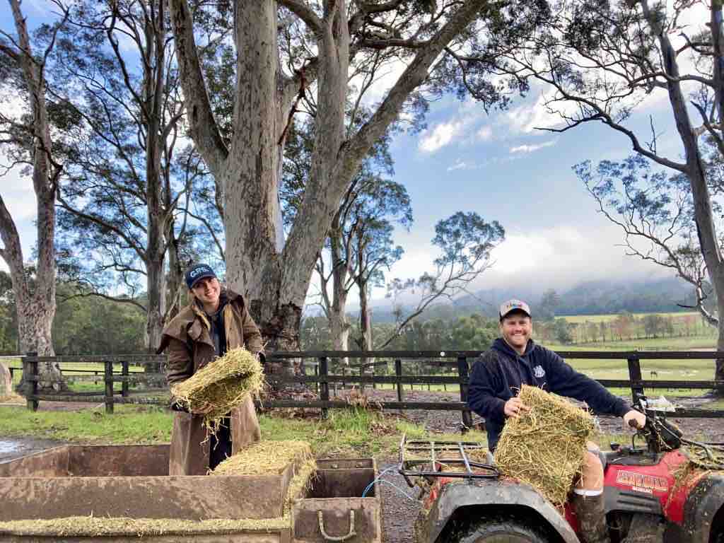 Yarramalong Valley Horse Farmstay公寓