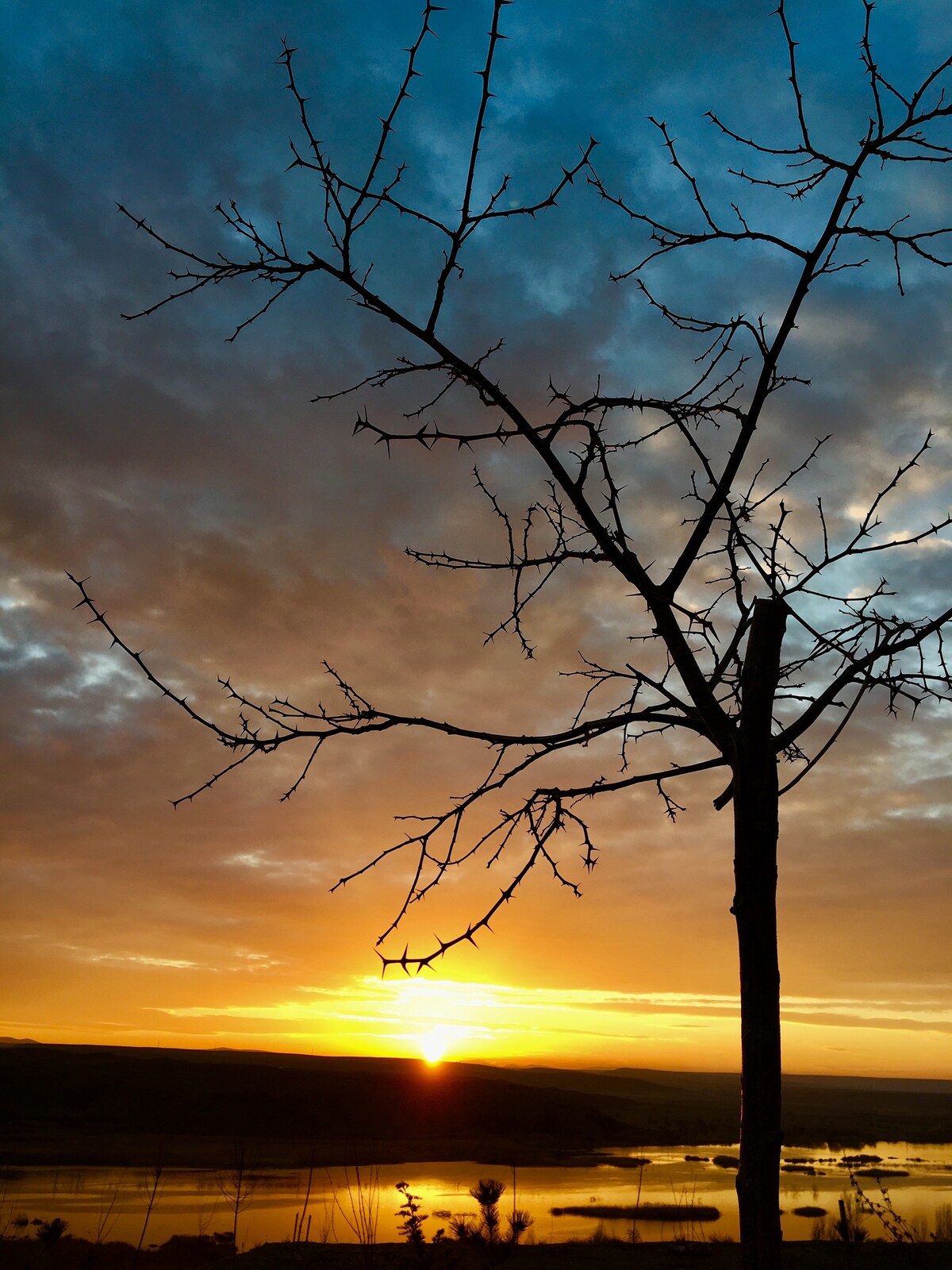 Relax home with hot air balloons and sunrise view