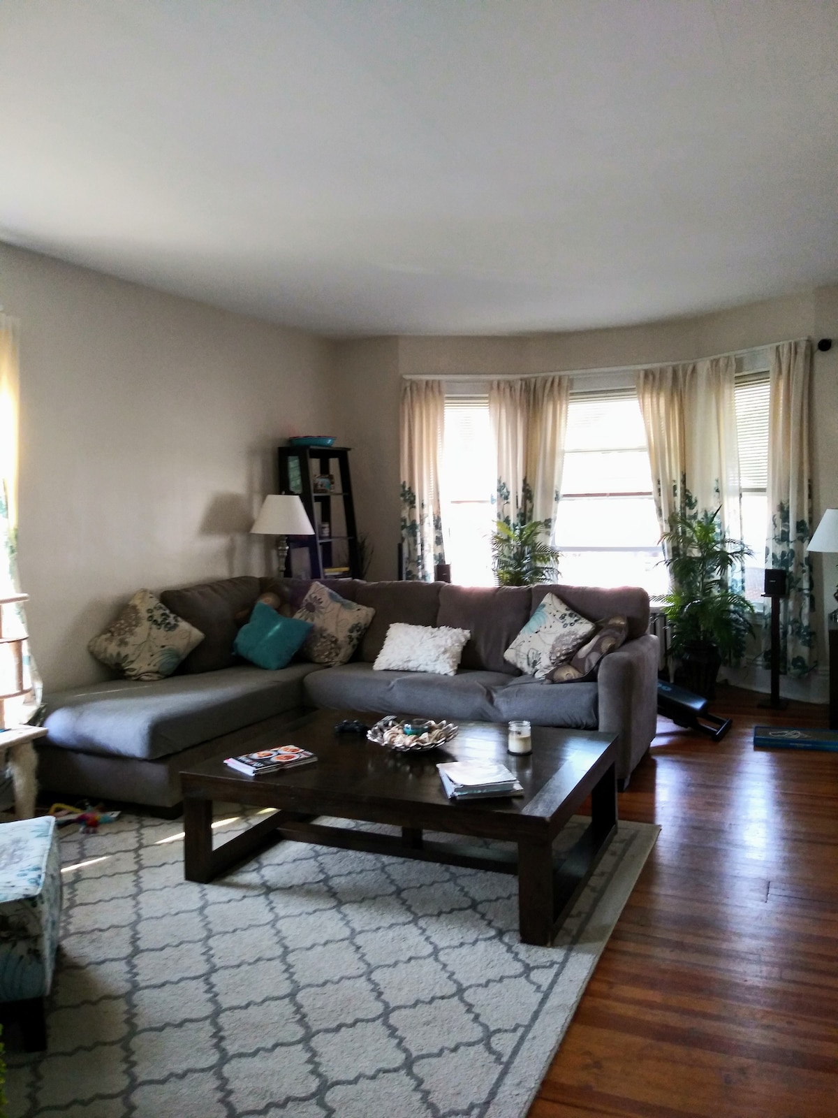 Cozy 1 bdrm in quiet Eastside Troy