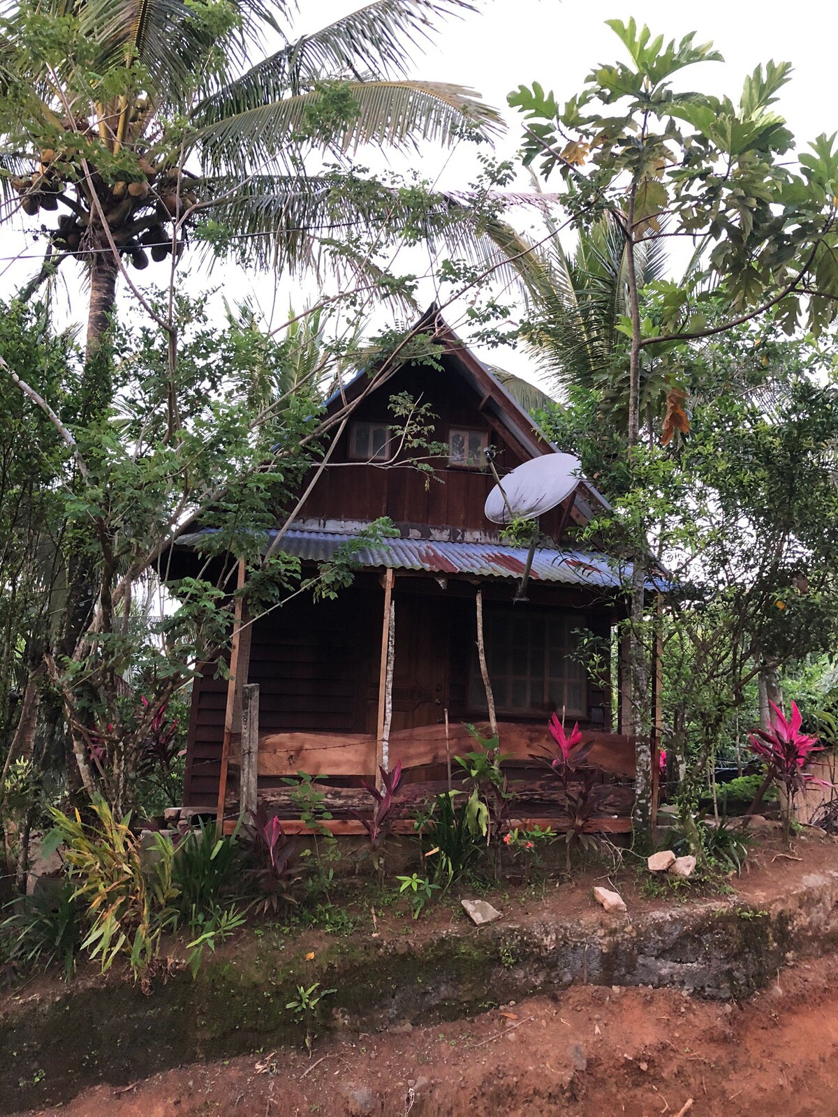 Kuya Glen 's Farmhouse (Bos taurus)