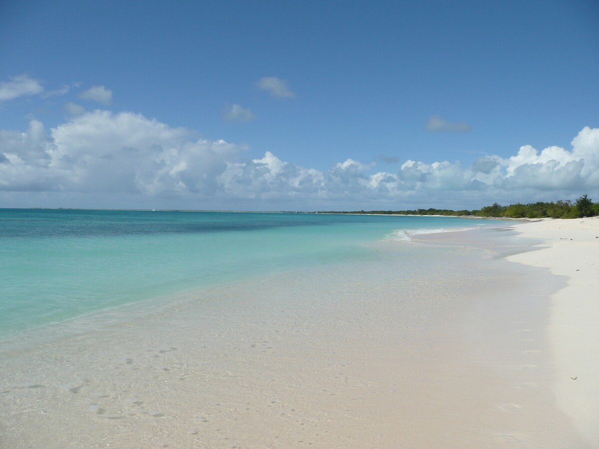 Barbuda Cottages 2 bed ( Green ) Beachfront Villa