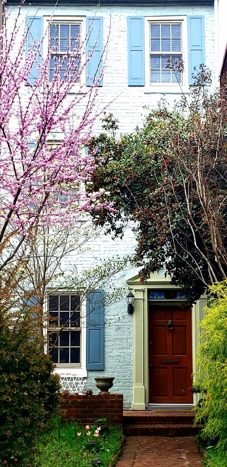 Historic Capitol Hill 3层Brick Row Home ！