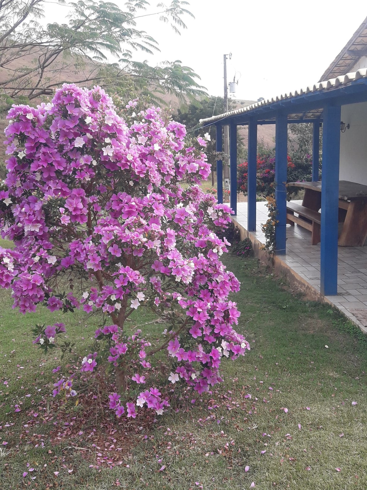 Sítio no interior  de MG, lugar de sossego e paz!