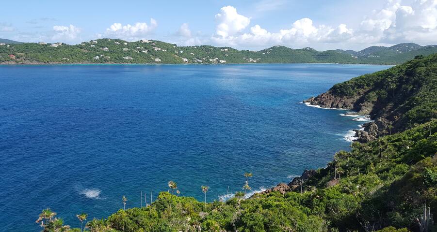 夏洛特阿马利亚 (Charlotte Amalie)的民宿