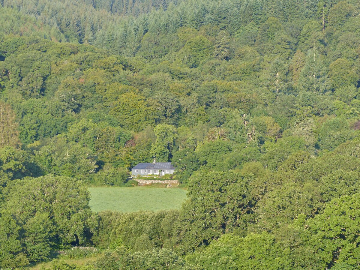 豪华僻静的房子、吉德利公园（ Gidleigh Park ）、查格福德（ Chagford ）