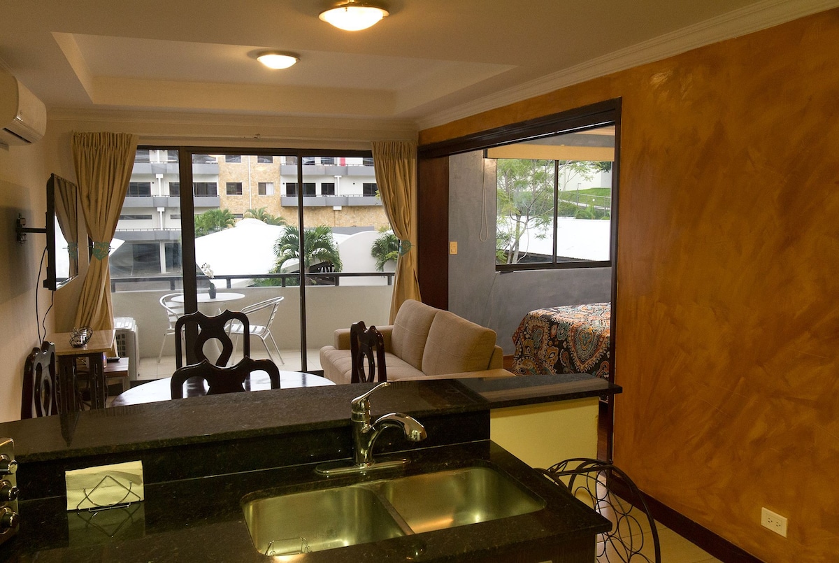 优雅的Avalon C公寓，最佳位置。空调、加大双人床。