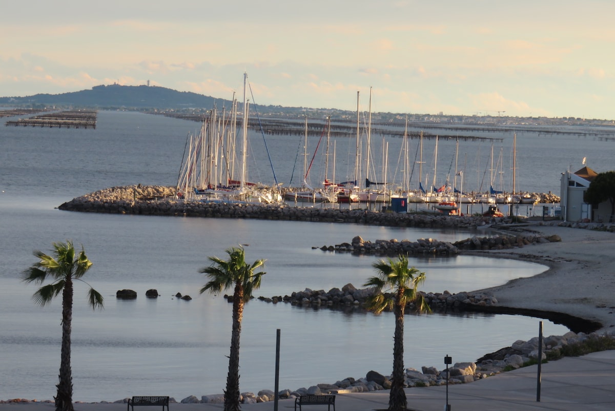 Terrasse XXL vue panoramique sur la lagune de Thau