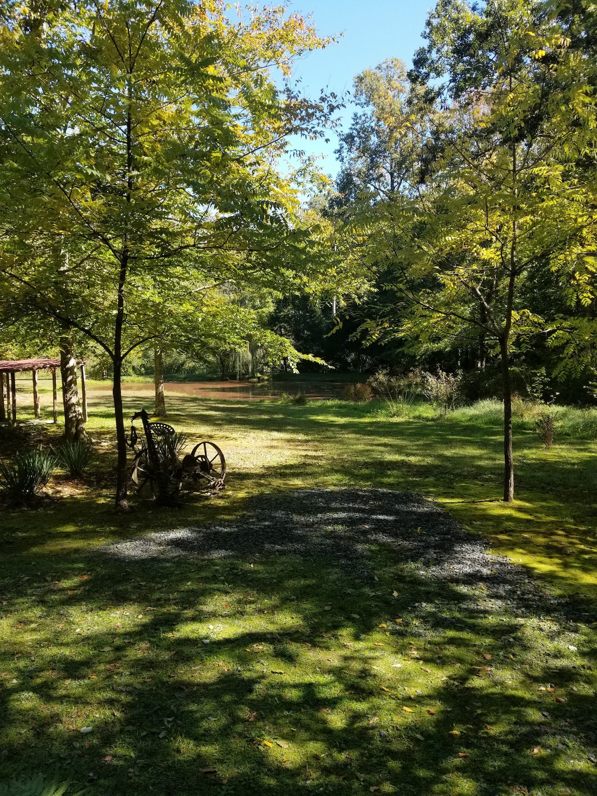 Tranquil cabin on Robbins Nest Pond