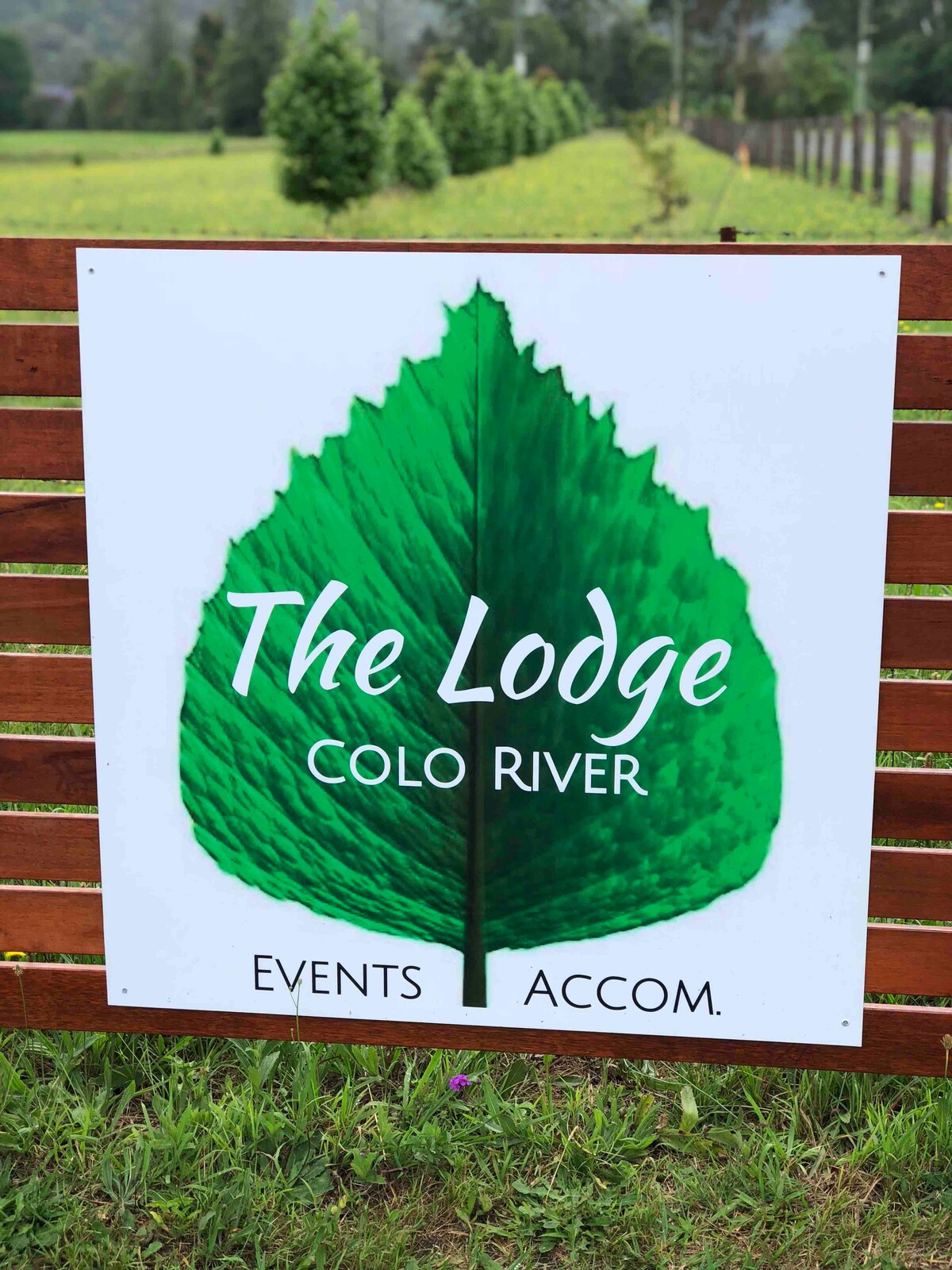 I need the whole place .....
The Lodge.Colo River