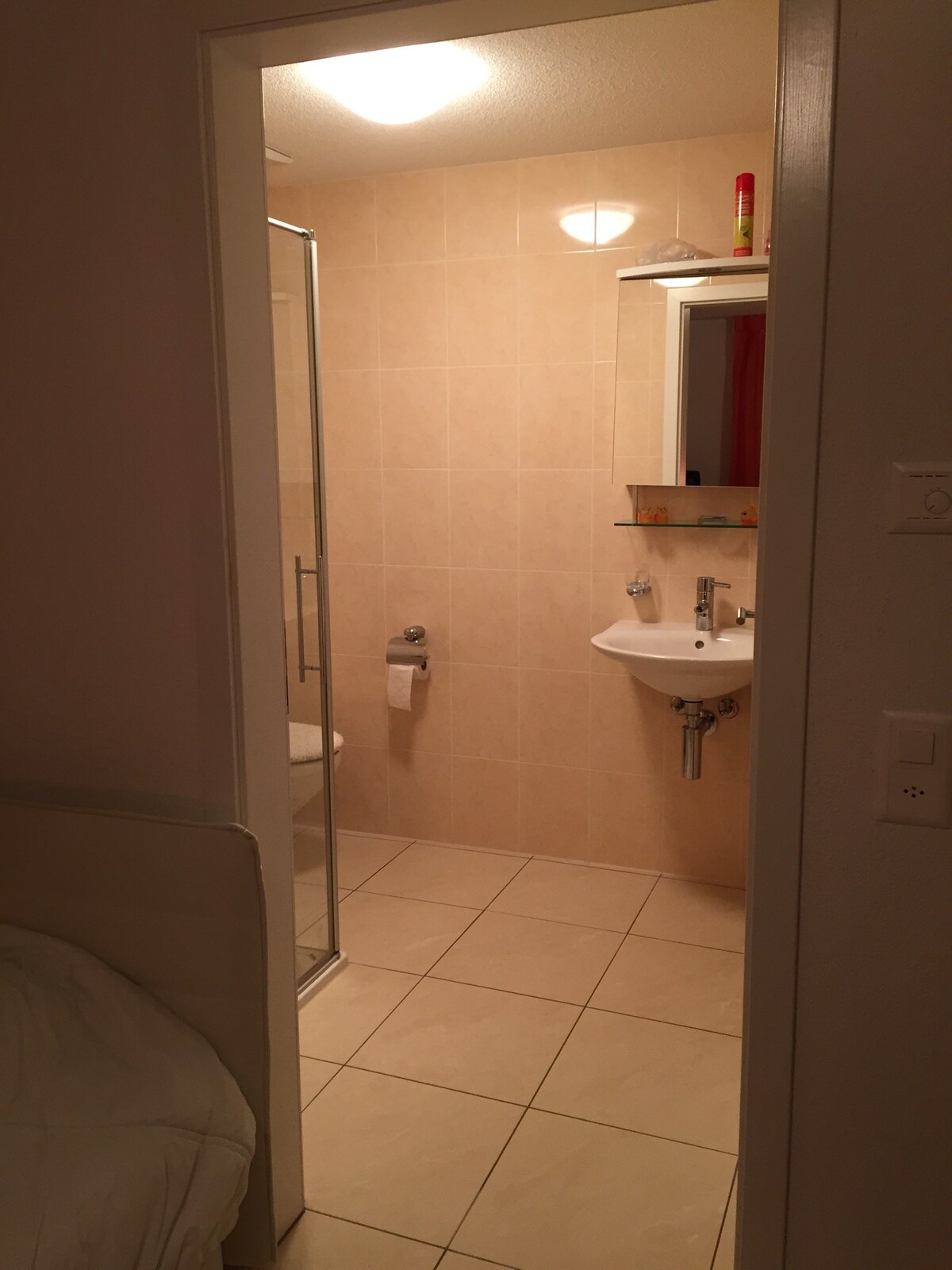 带淋浴间/卫生间的宽敞房间