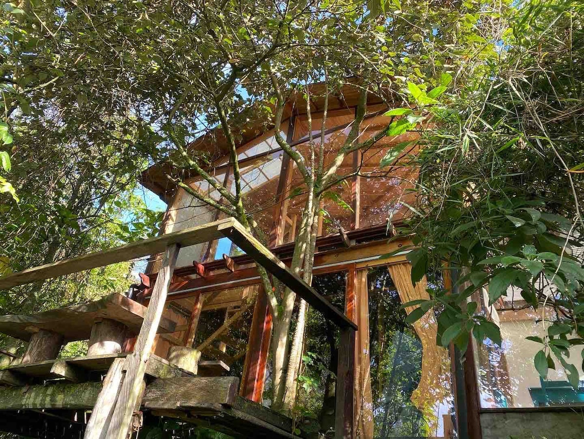Birdhouse on Passiflora Mountain