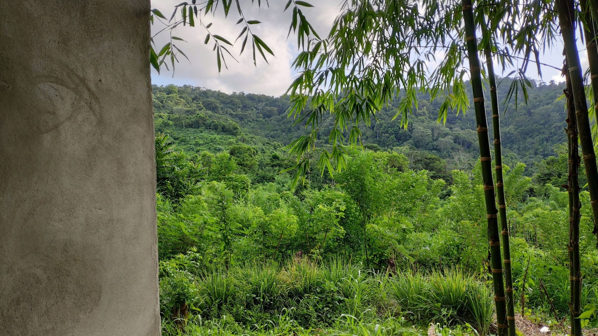 乌布，丛林中的美丽竹屋