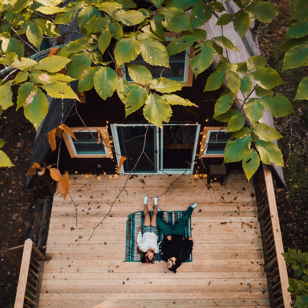 温馨的松三角屋坐落在树林中！