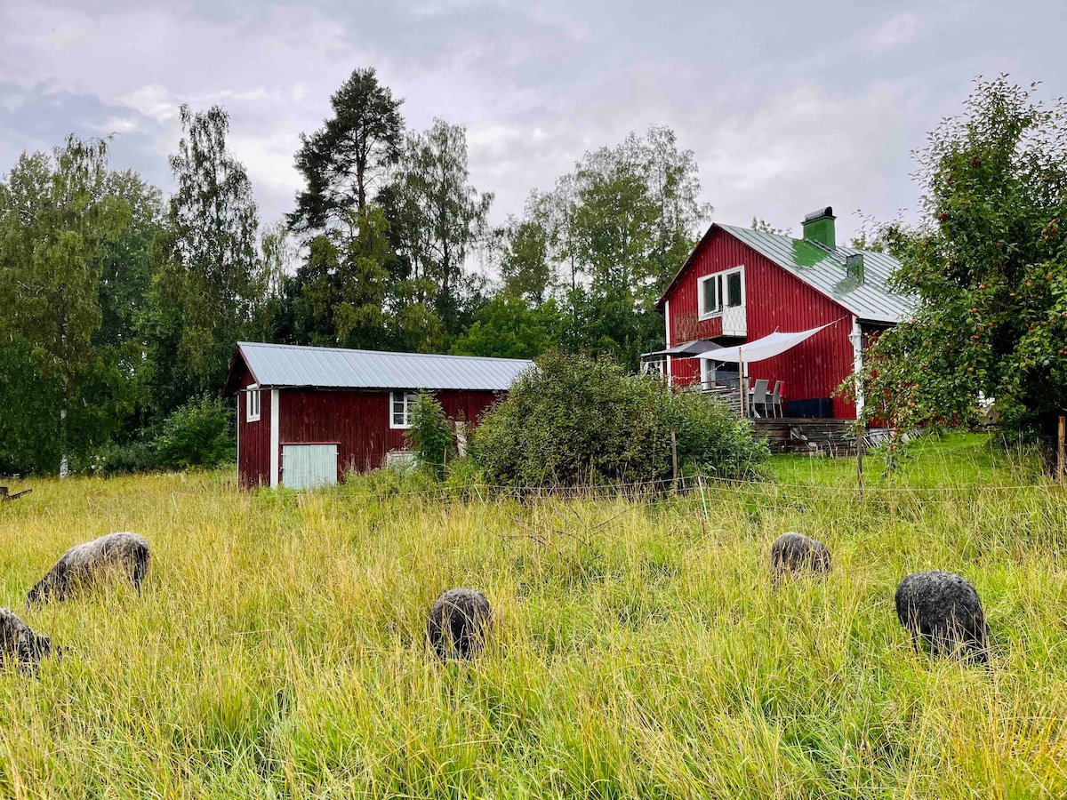 Mysigt hus med utsikt över sjö och åker