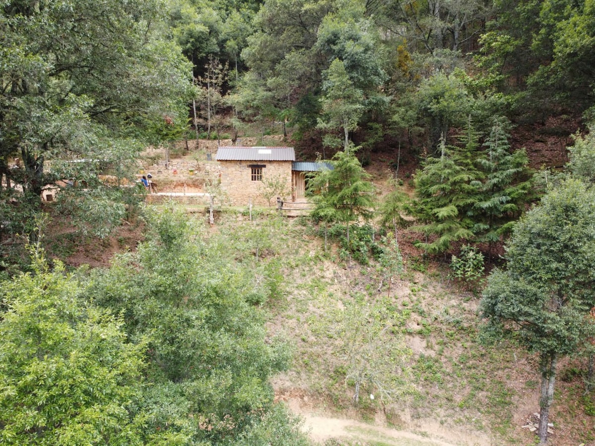 Cabaña Cantó del Jilguero/El Bosque de las Ranas