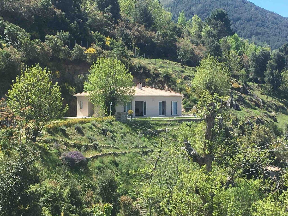 Villa in village