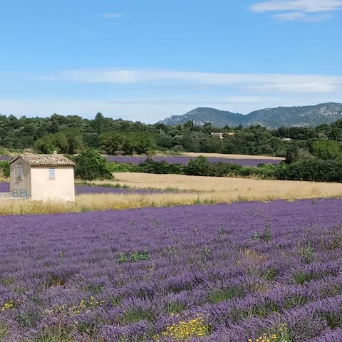 Peyrolles-en-Provence的民宿