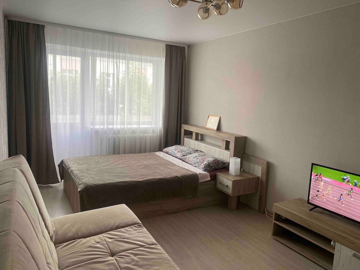 Уютные апартаменты на Вольного Новгорода