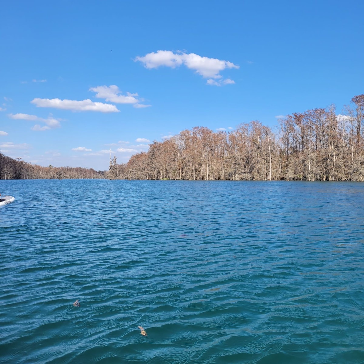 Spring Green on the Millpond