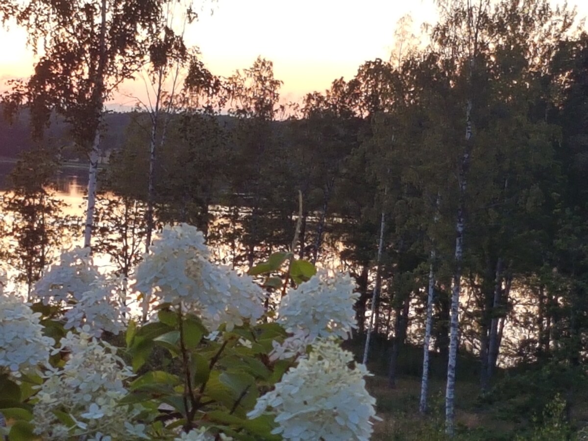 小木屋设有宽敞的露台和童话般的湖景。