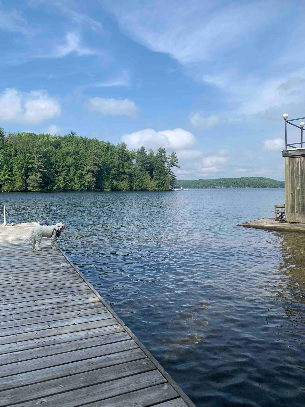 马斯科卡（ Muskoka ）滨海滨小屋