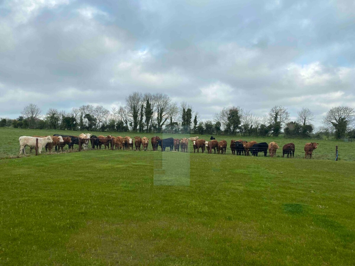 Relax in the Country while close to Dublin Airport