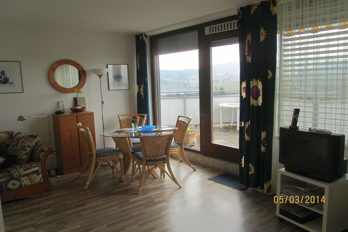 Merkle度假公寓， （ Uhldingen-Mühlhofen ） ，度假公寓， 40平方米， 1间客厅/卧室，最多可入住2人