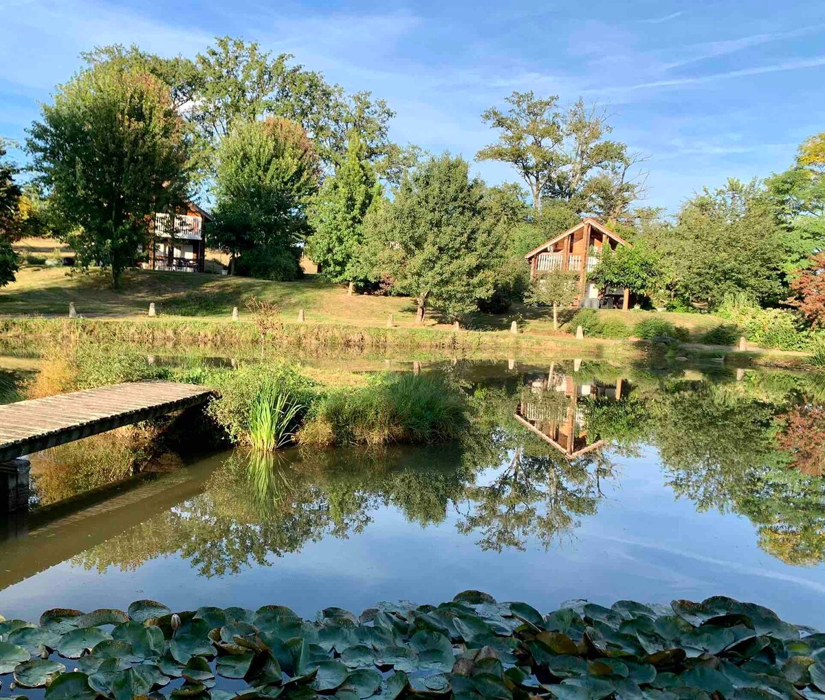 Domaine arboré avec 3 maisons bois