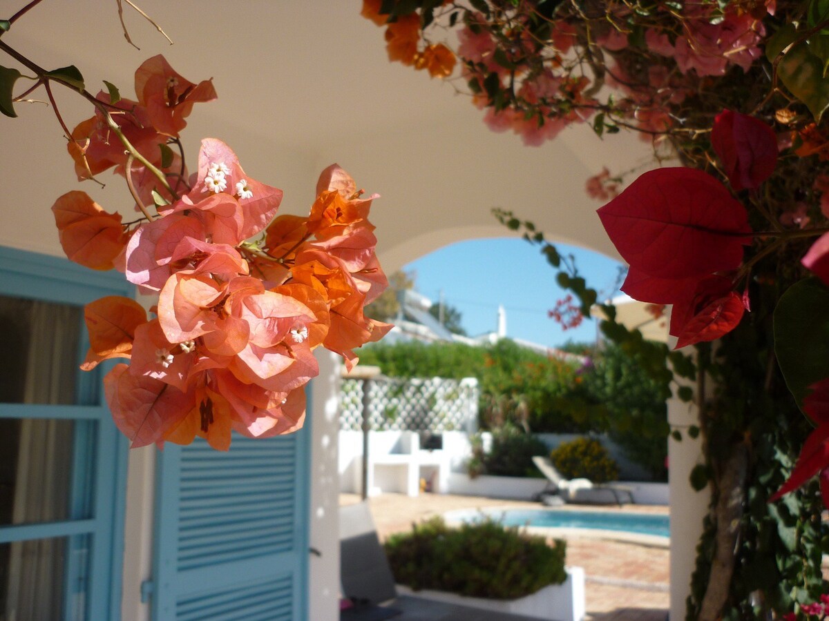Boliqueime, Algarve - Pretty Villa (24005/AL)