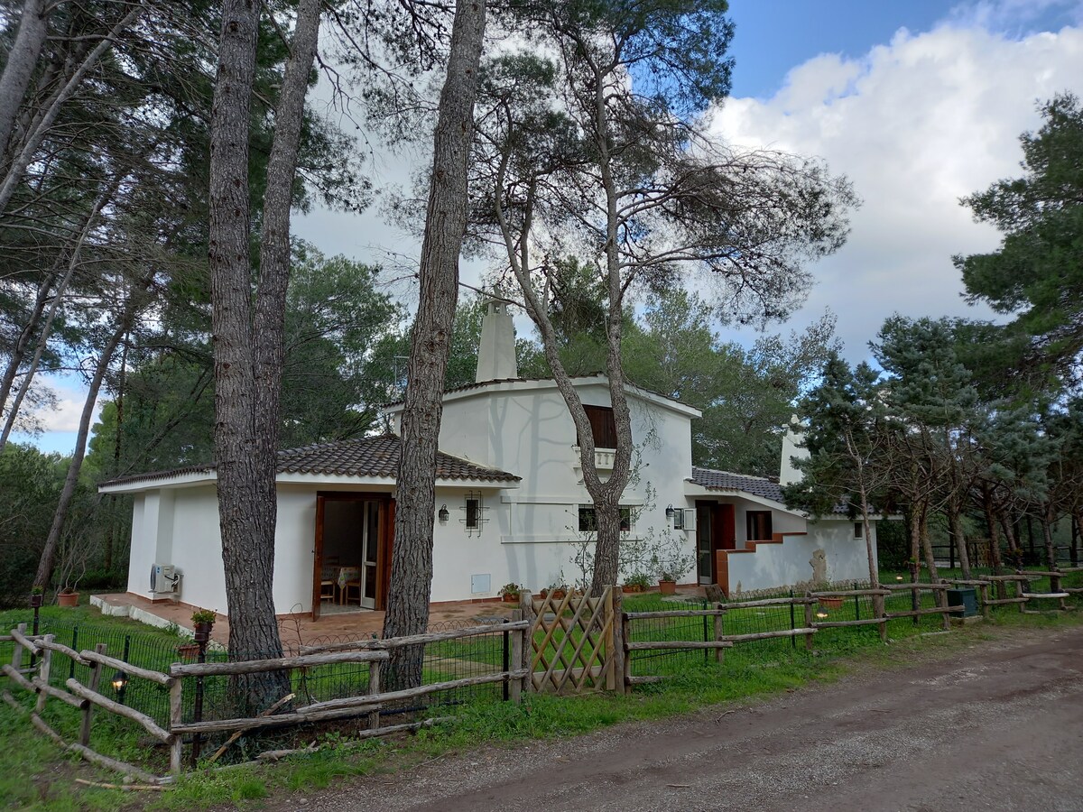 Villa Felicita Cottage zona turistica con giardino