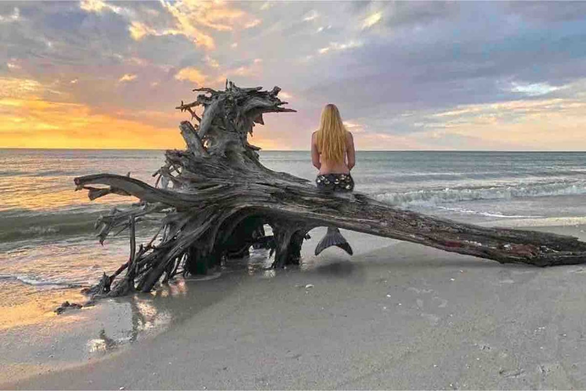 Salty Mermaid on LGI / Island Beach Retreat