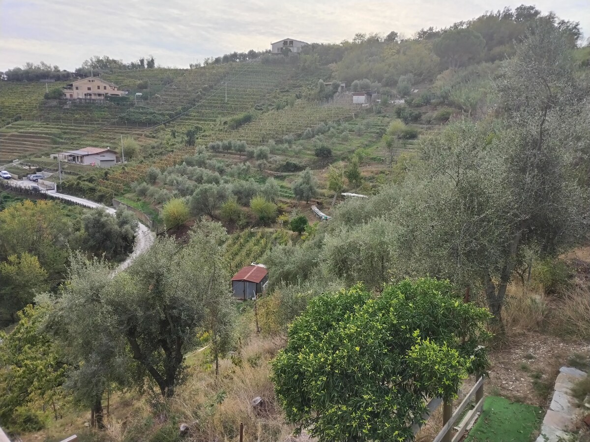 Piazzola per Tenda tra vigne e ulivi