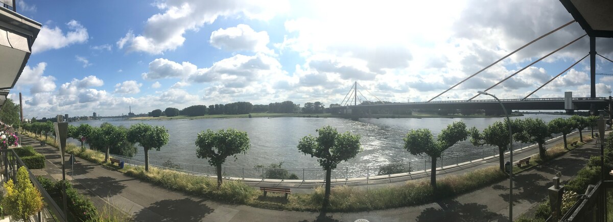 美丽莱茵河上的三座桥梁的梦幻景观 🤩