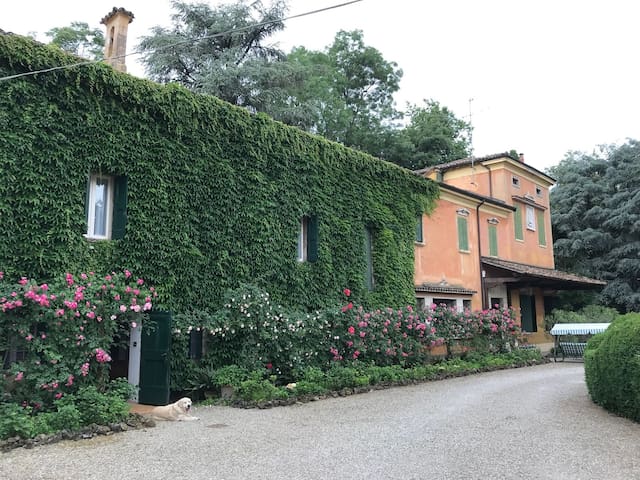 Colombaro di Formigine (Modena)的民宿