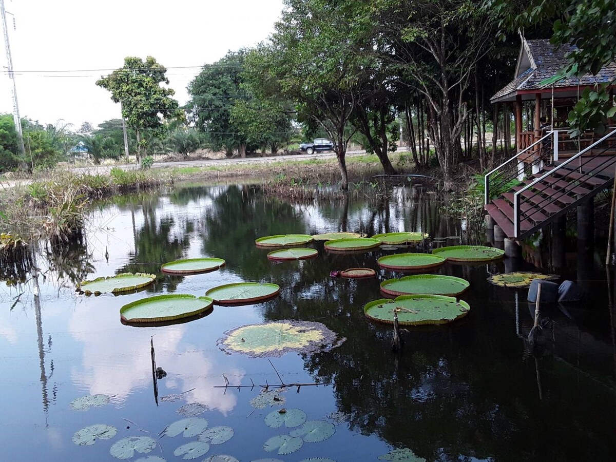 老花园和农场保持健康