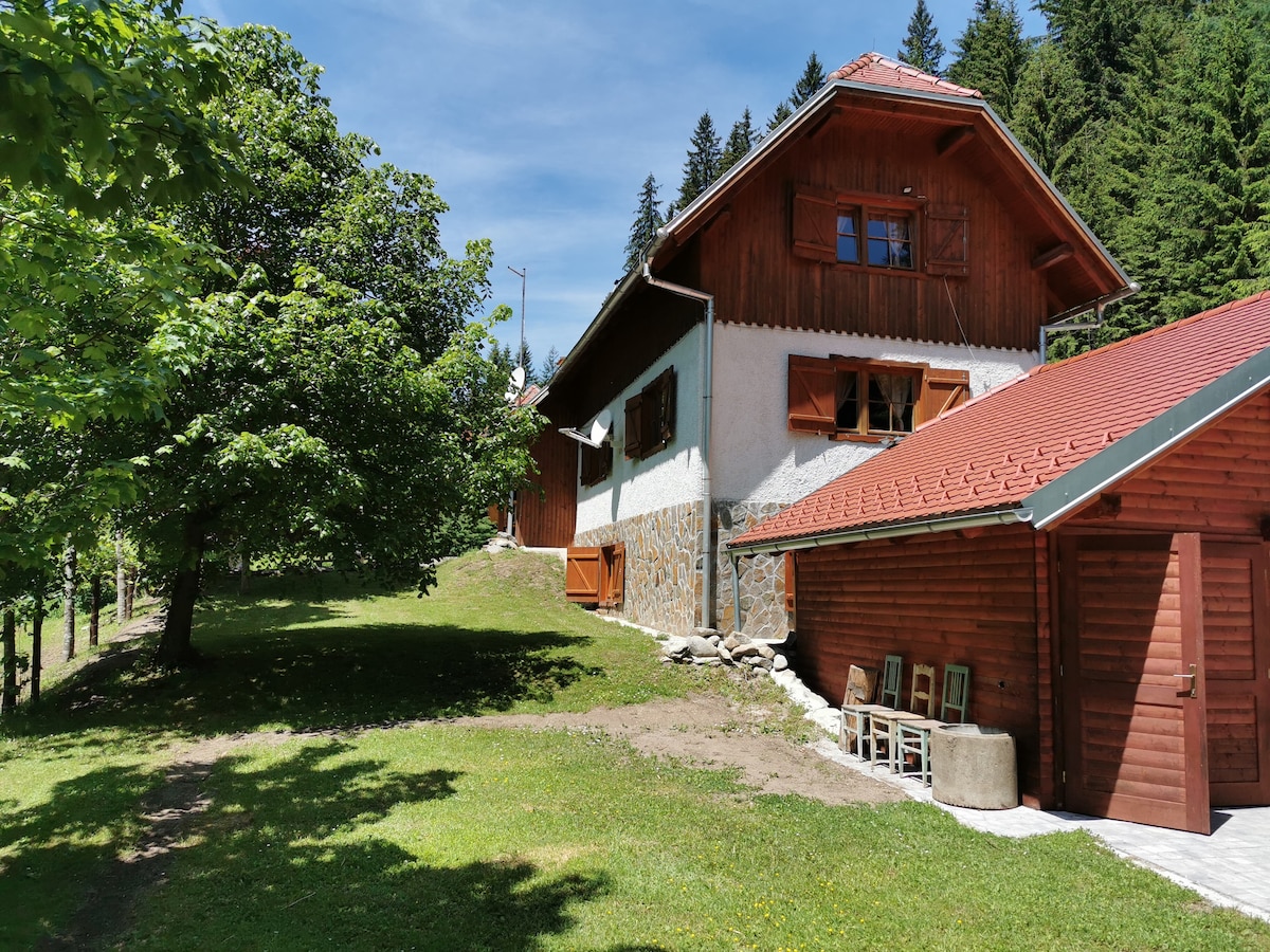 Rogla Dandi Pohorje house 2 apt3