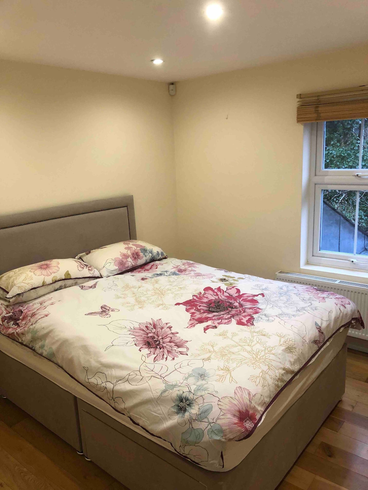 Double room in shared 2 Bedroom flat, Brixton