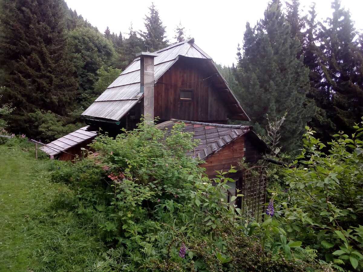 Hexenhütte Stolzalpe