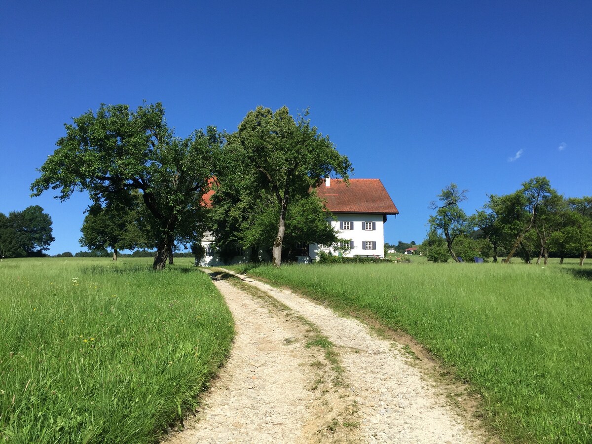 奥地利萨尔茨卡默古特（ Salzkammergut ）的精美乡村别墅