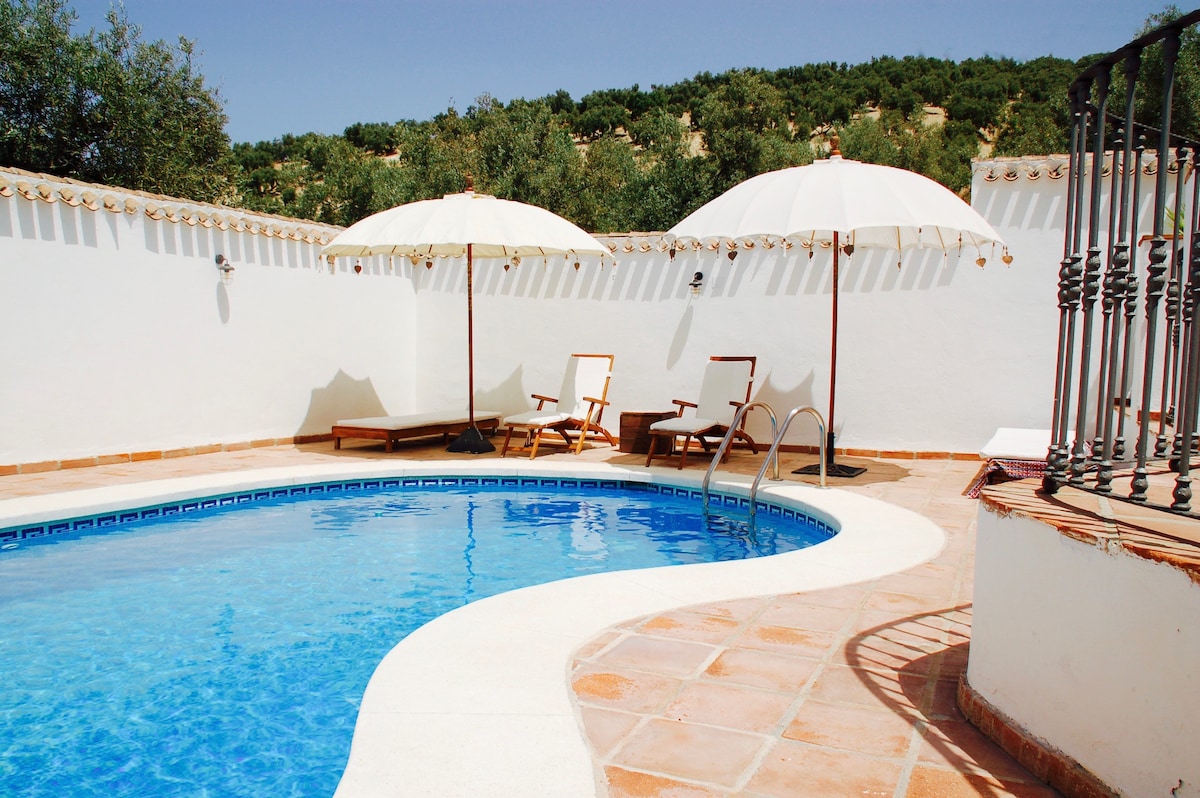 Ethnic room amidst the olive groves of Andalucia