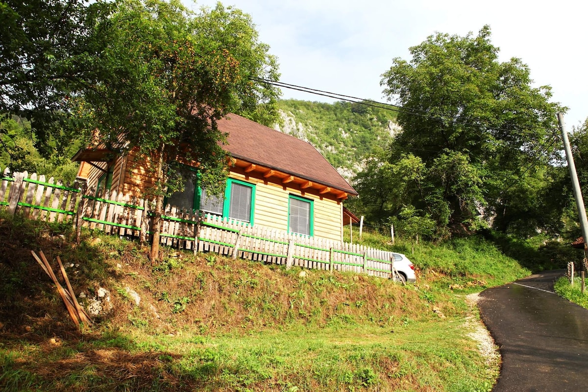 Greenish Chalet, Apuseni Mountains, Transylvania