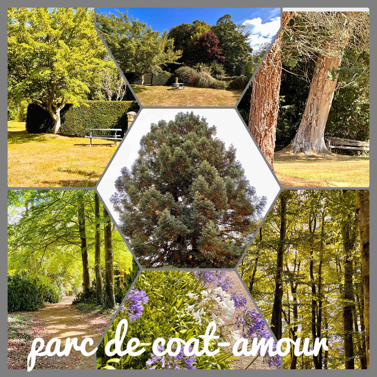 园丁之家，位于Coat Amour公园